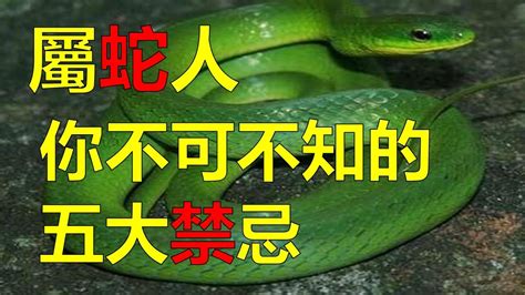 屬蛇禁忌|【屬蛇禁忌】屬蛇禁忌｜你一定不能碰的取名雷區！ – 最新新